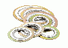 Spiral Wound Gasket