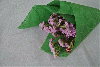 Flocked Nonwoven Sheet