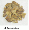 Gum Benzoin Styrax