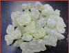 Gum Damar Mestika