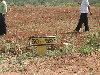 Lands for sale in Coimbatore