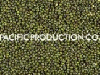 VIETNAM GREEN MUNG BEAN