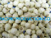 VIETNAM LOTUS SEEDS