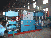 Duplex Full automatic Curing Press